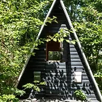 Live In A 70s Oasis In The Middle Of The Forest *