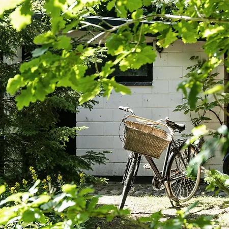 Дом отдыха Live In A 70s Oasis In The Middle Of The Forest